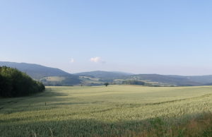 Piękne widoki na Zlote hory.