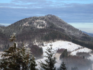 Waligóra