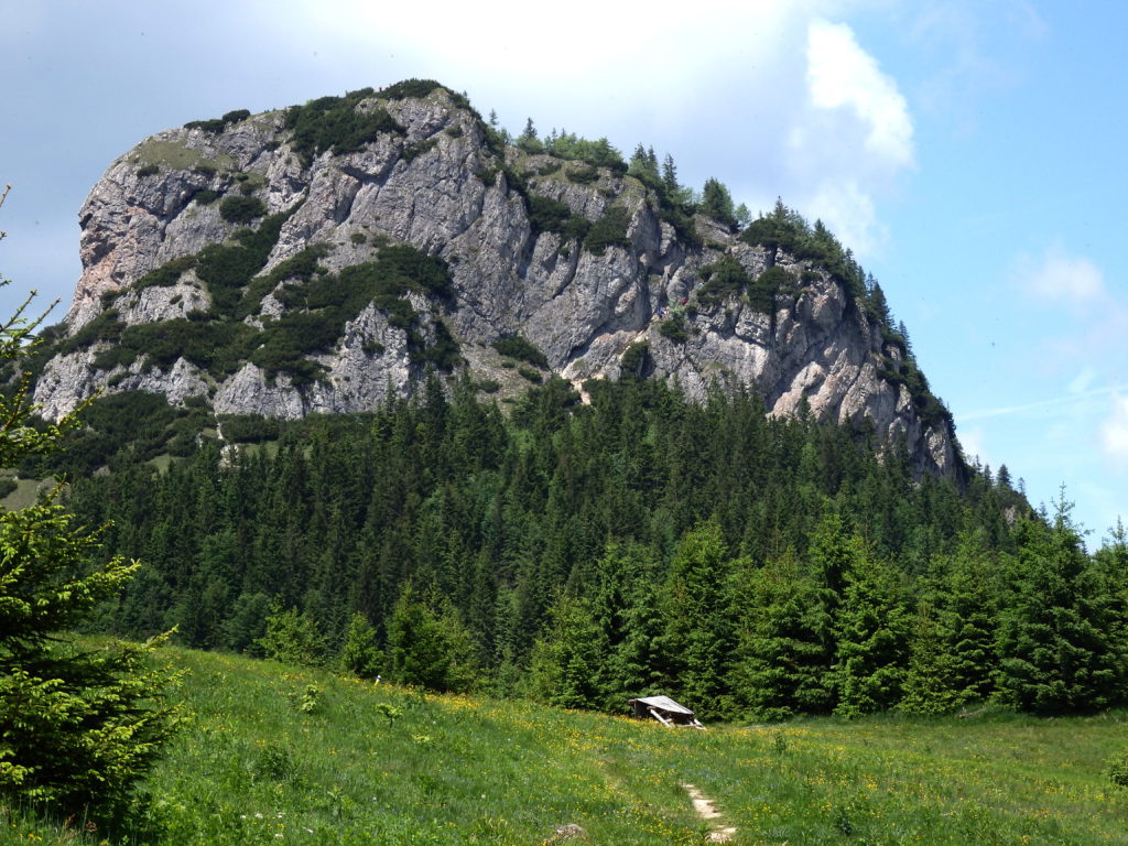 Mały Rozsutec
